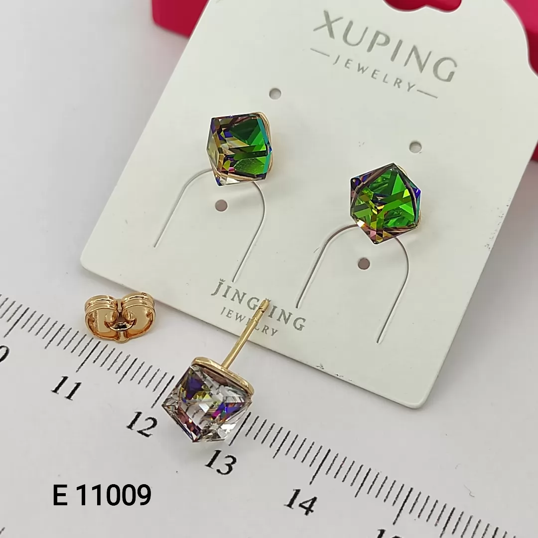 E 11009